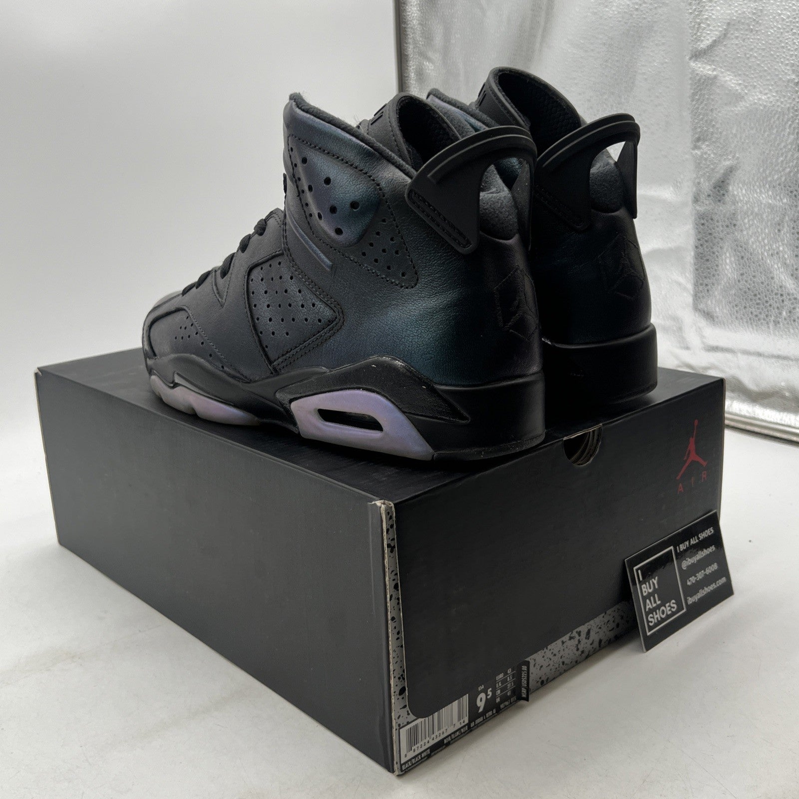 Size 9.5 - Air Jordan 6 Retro All Star - Chameleon (907961-015)