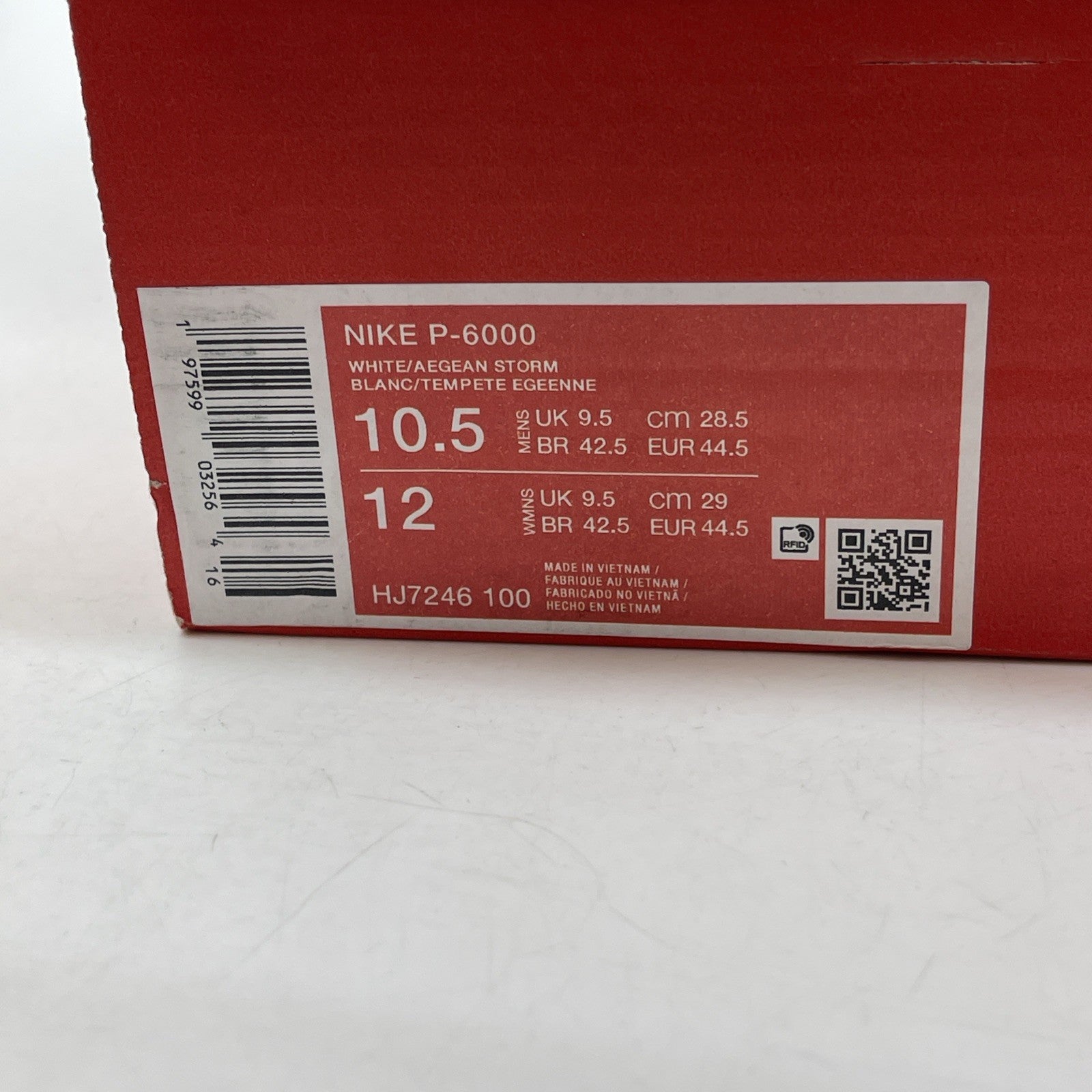 Size 10.5 - Nike P-6000 Metallic Silver Aegean Storm Leather (HJ7246-100)