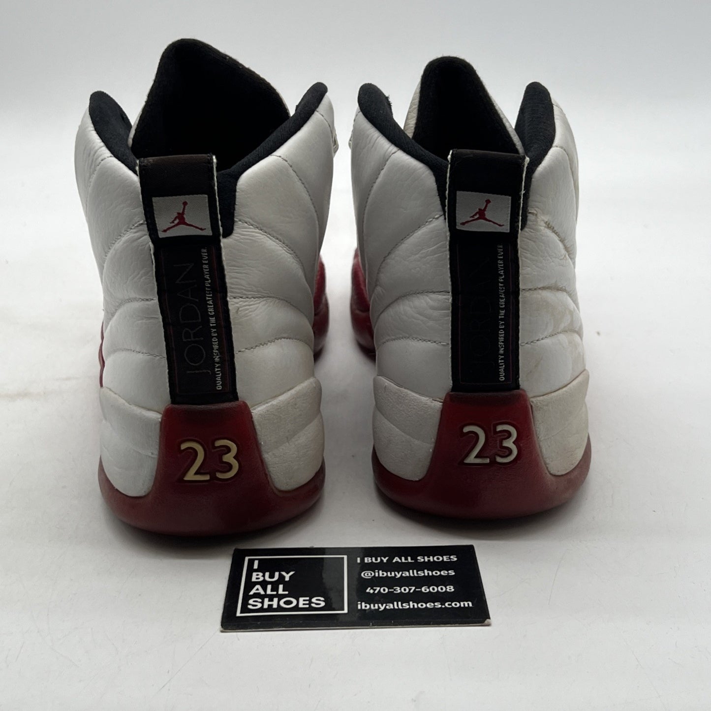 Size 10.5 - Air Jordan 12 Retro 2009 Cherry (130690-110)
