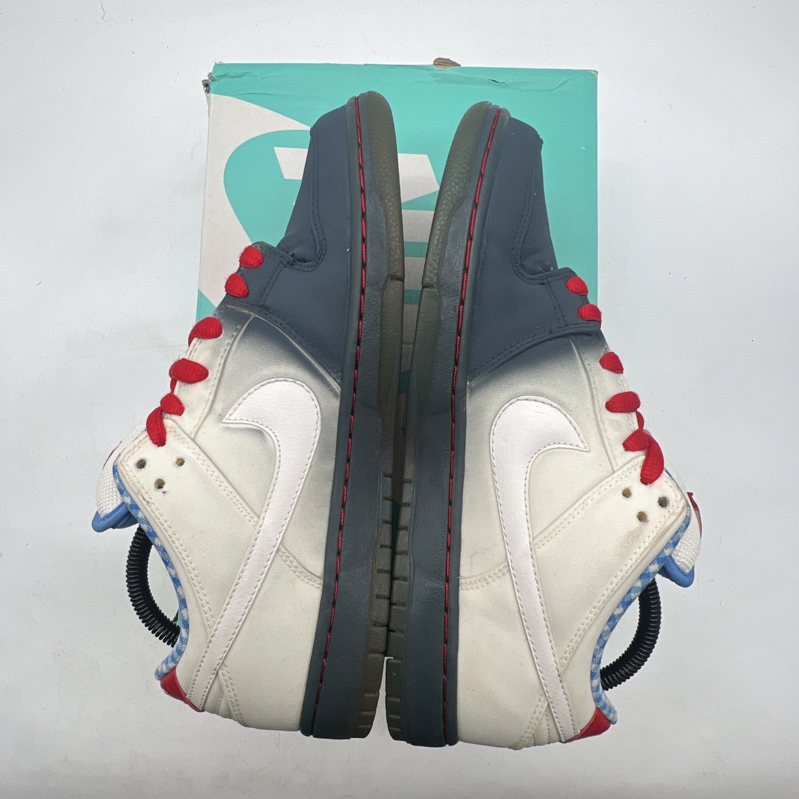 Size 9.5 - Nike Dunk Premium SB Low Dorothy (313170-020)