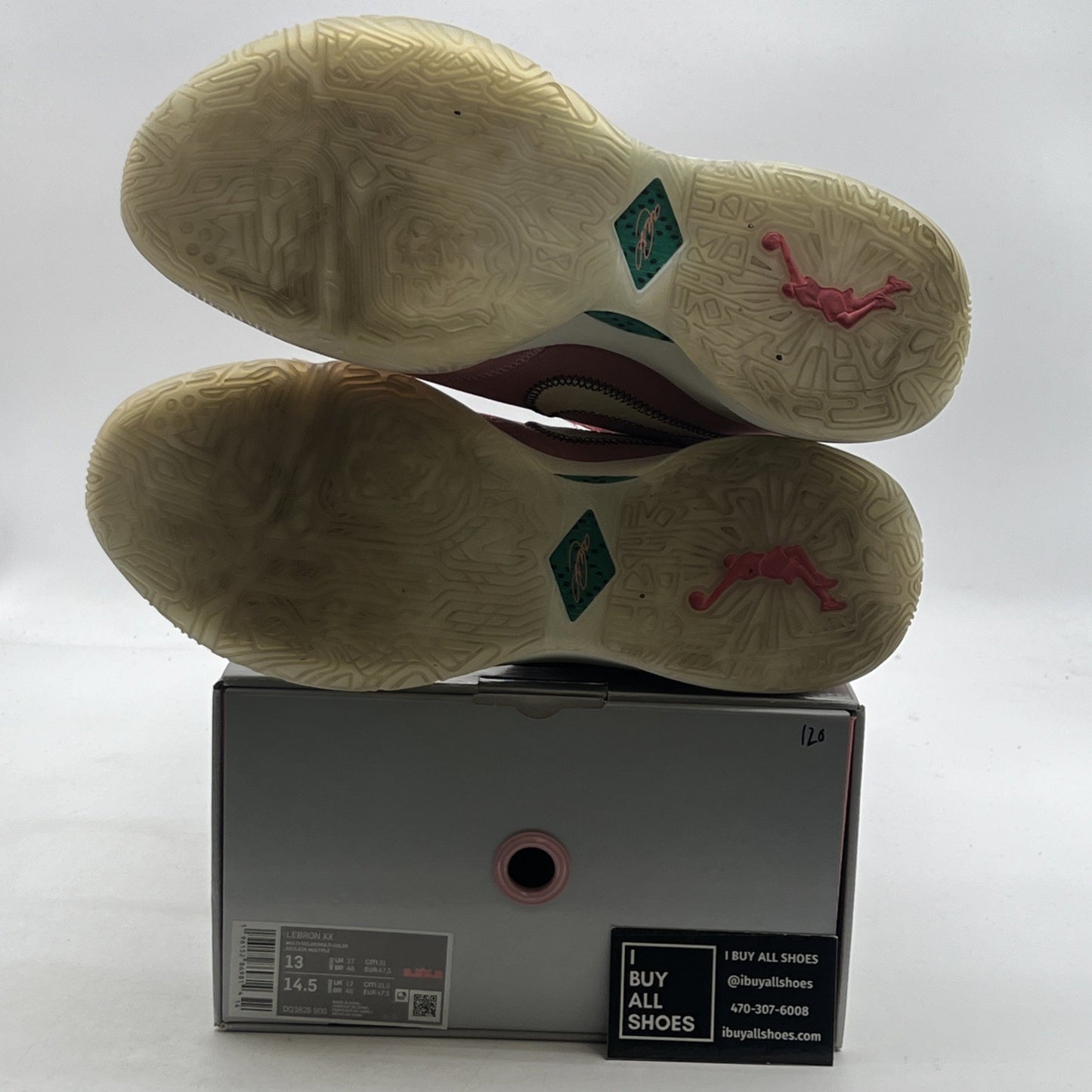 Size 13 - Nike LeBron 20 South Beast (DQ3828-900)