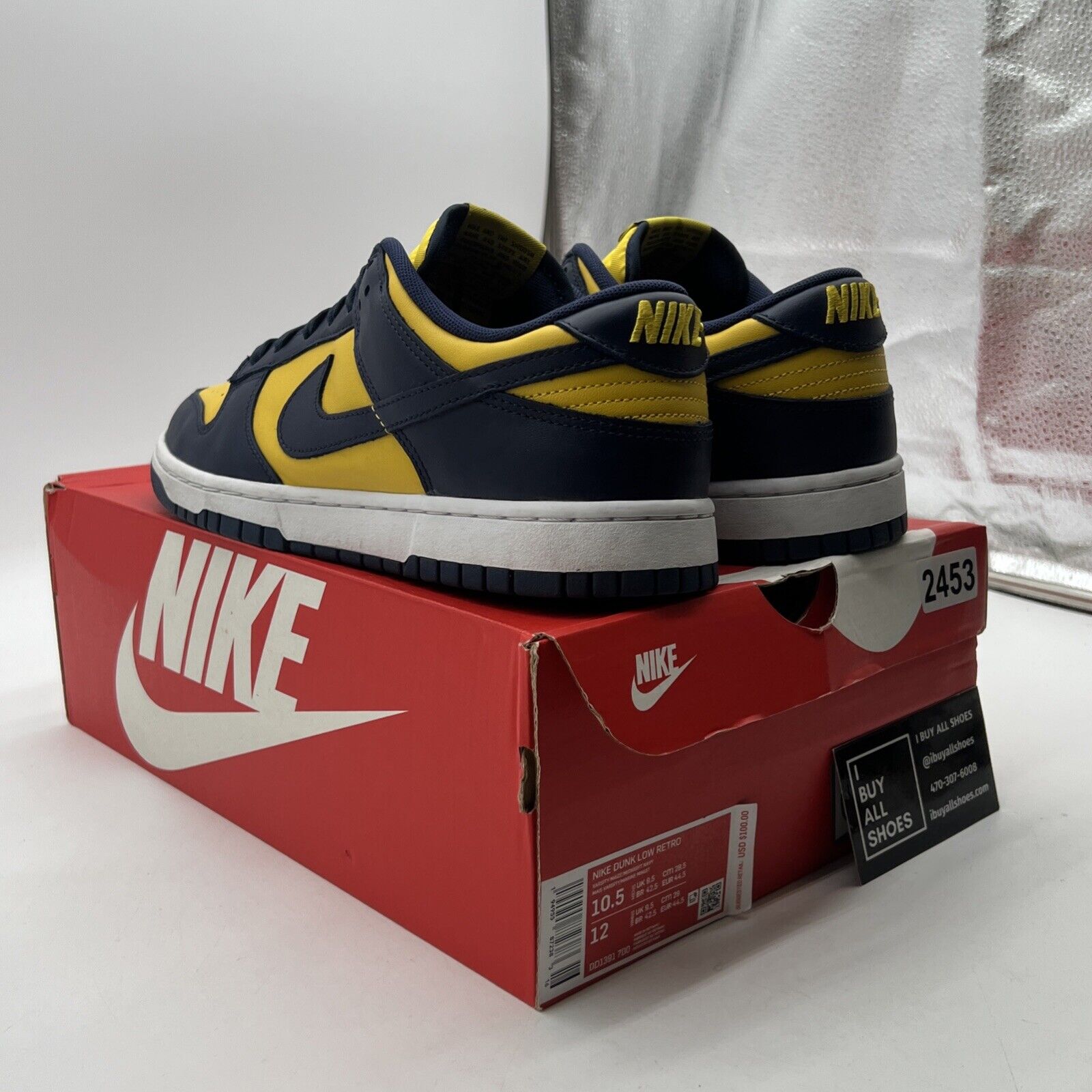 Size 10.5 - Nike Dunk Low Michigan 2021 (DD1391-700)