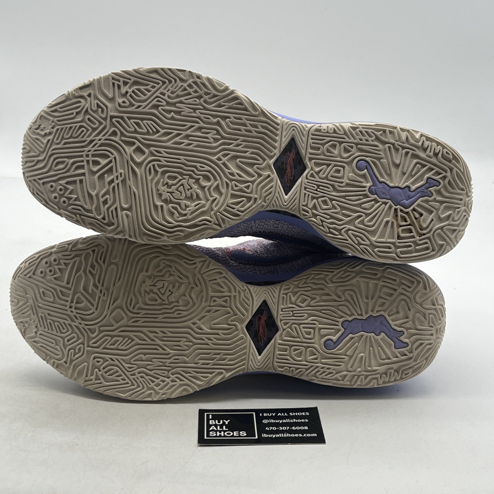 Size 14 - Nike LeBron 20 Low Purple And Gold (DJ5423-500)