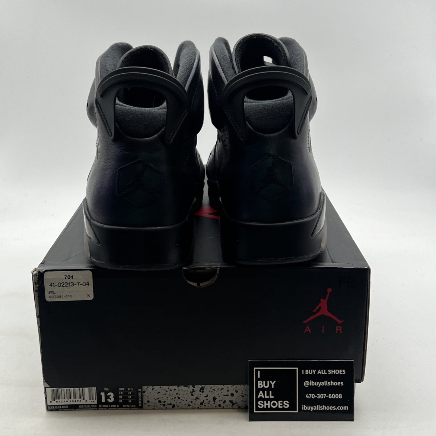 Size 13 - Air Jordan 6 Retro All Star - Chameleon (907961-015)