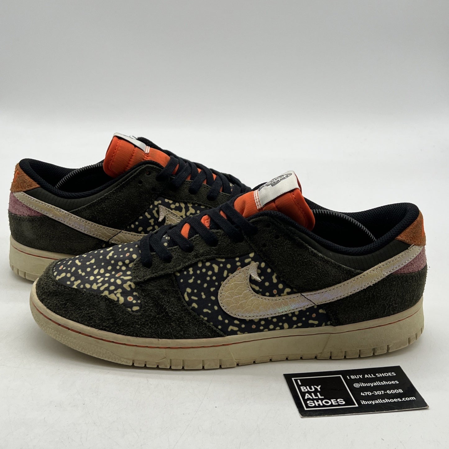 Size 12 - Nike Dunk SE Low Gone Fishing - Rainbow Trout (FN7523-300)
