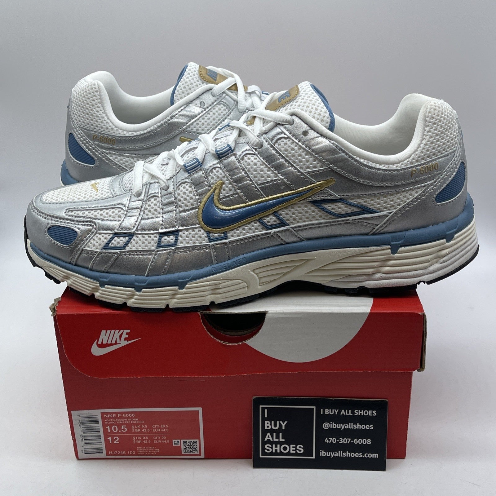 Size 10.5 - Nike P-6000 Metallic Silver Aegean Storm Leather (HJ7246-100)