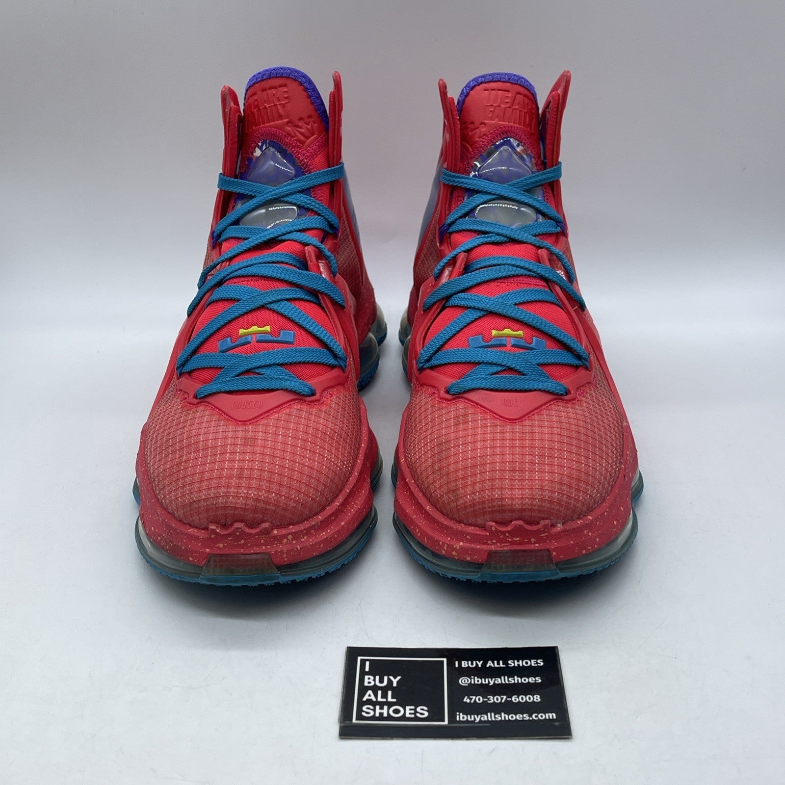 Size 11.5 - Nike LeBron 19 King's Crown Blue Red Leather (CZ0203-600)
