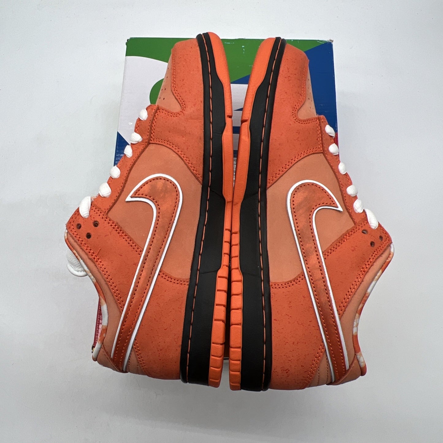Size 10 - Nike Dunk Low SB x Concepts Orange Lobster (FD8776-800)