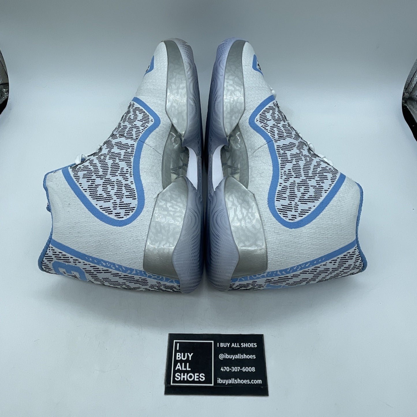 Size 13 - Air Jordan 29 Pantone (717796-108)