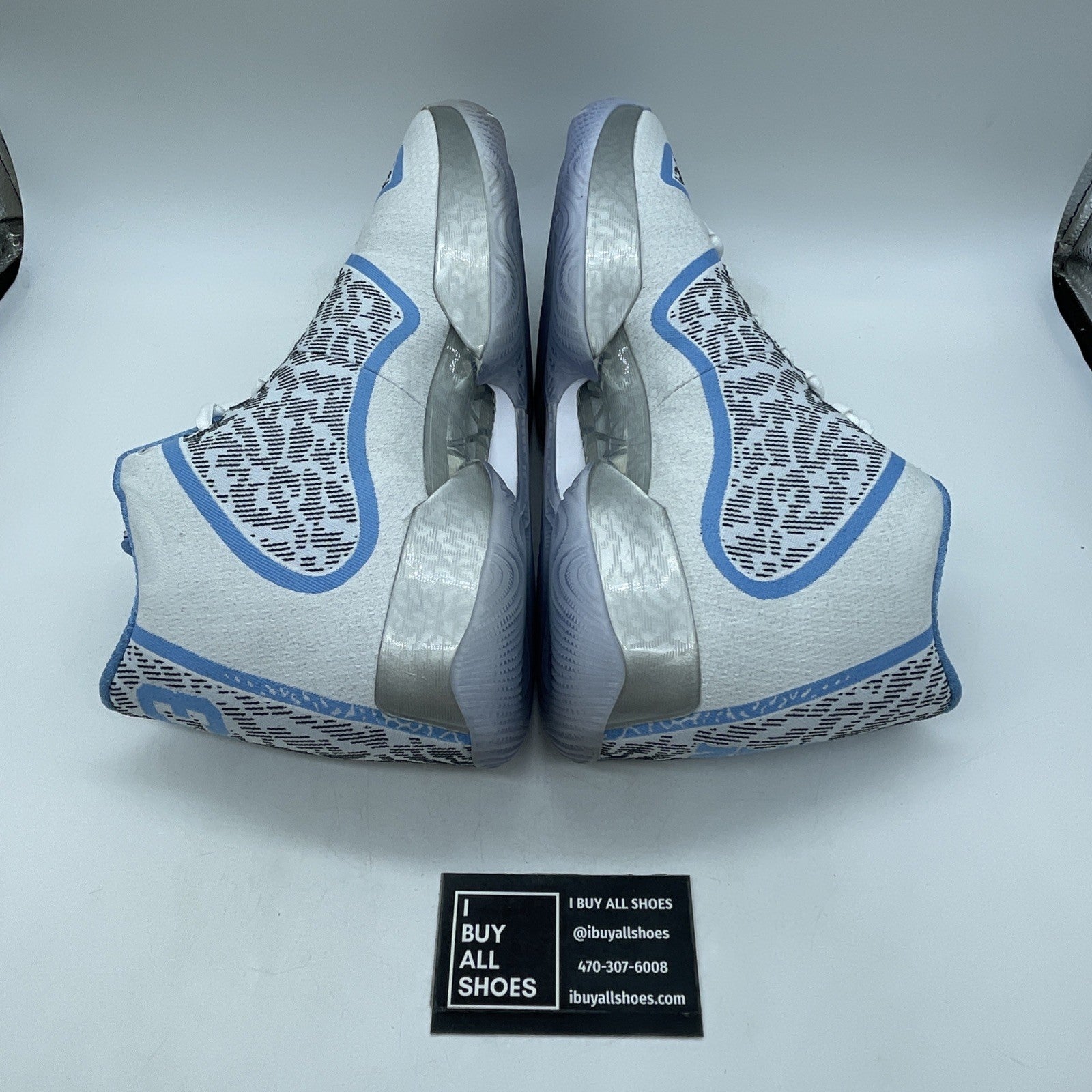 Size 13 - Air Jordan 29 Pantone (717796-108)