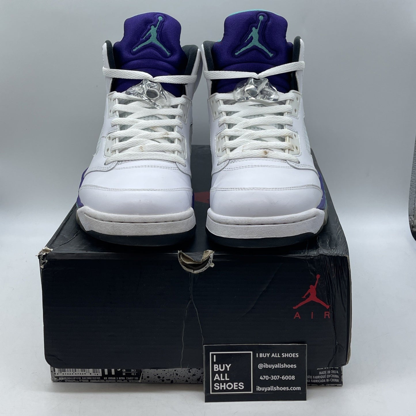 Size 11.5 - Air Jordan 5 Retro 2025 Grape (136027-108)