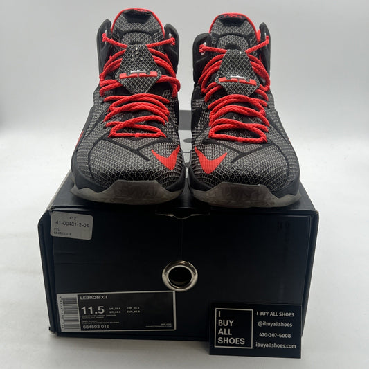 Size 11.5 - Nike LeBron 12 Court Vision (684593-016)