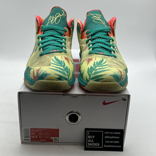 Size 14 - Nike LeBron 9 Low LeBronold Palmer (DO9355-300)