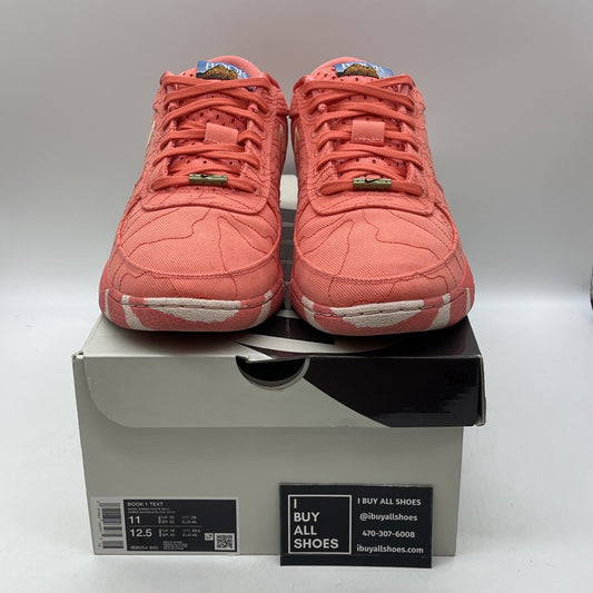 Size 11 - Nike Book 1 Textile Sedona (IB8054-800)