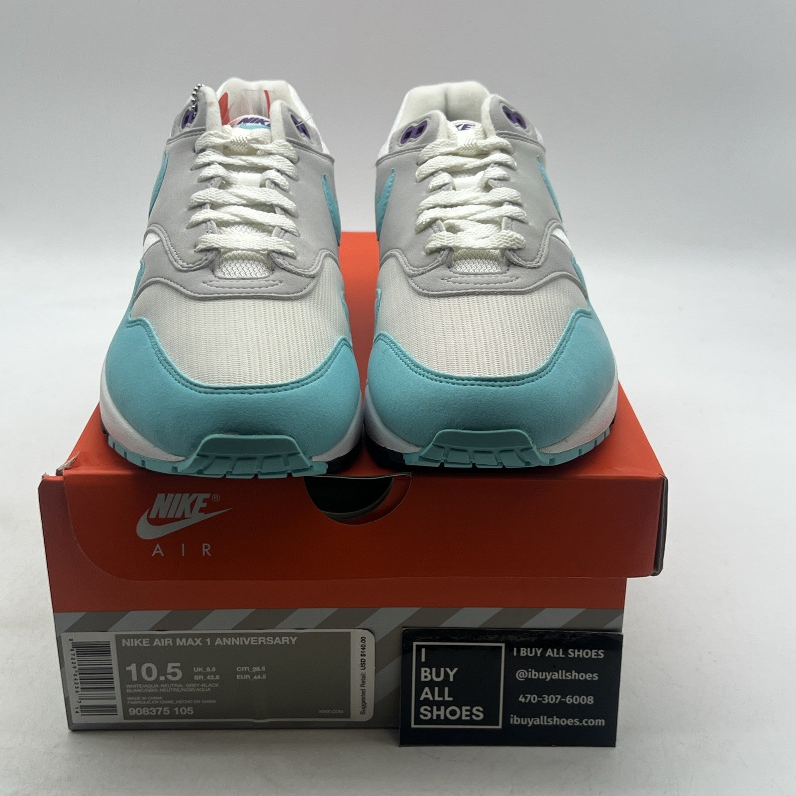 Size 10.5 - Nike Air Max 1 OG Anniversary Aqua (908375-105)