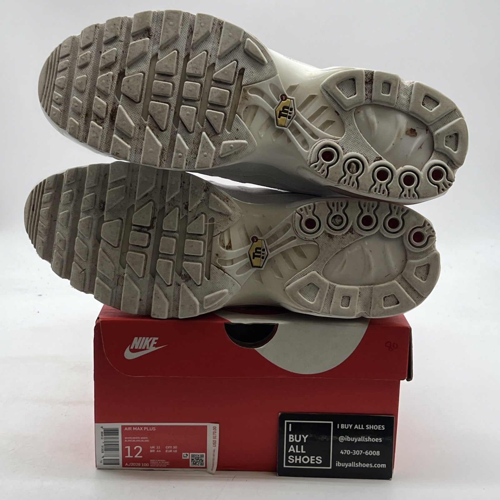 Size 12 - Nike Air Max Plus TN Triple White (AJ2029-100)