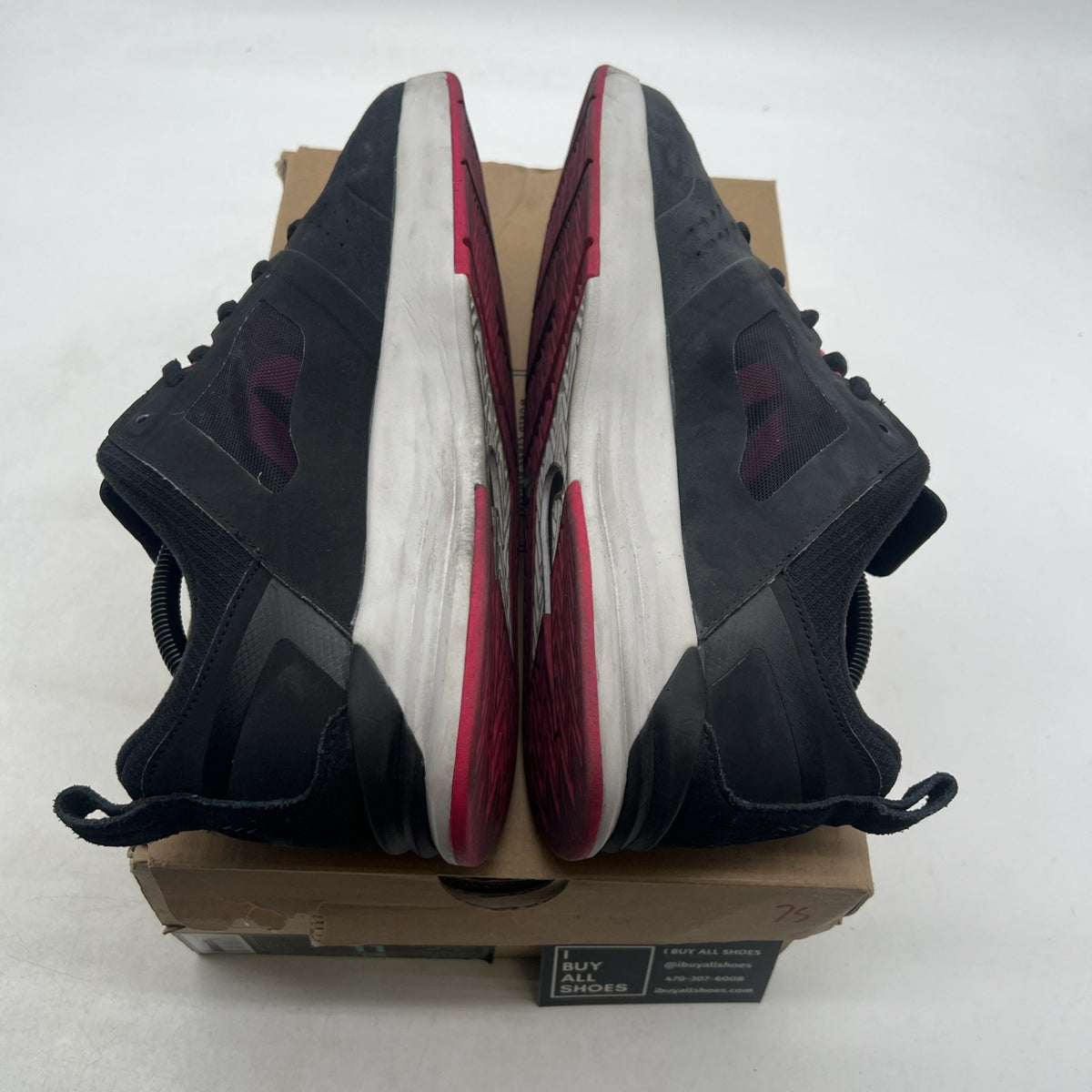 Size 11 - Nike SB Project BA Blink (599698-060)