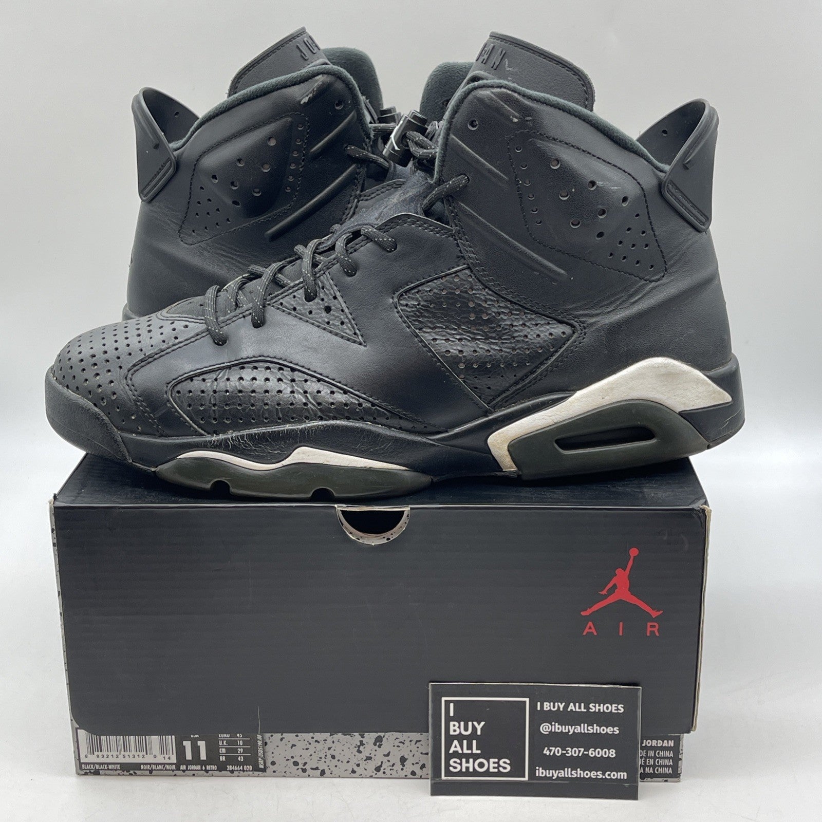 Size 11 - Air Jordan 6 Retro Black Cat (384664-020)