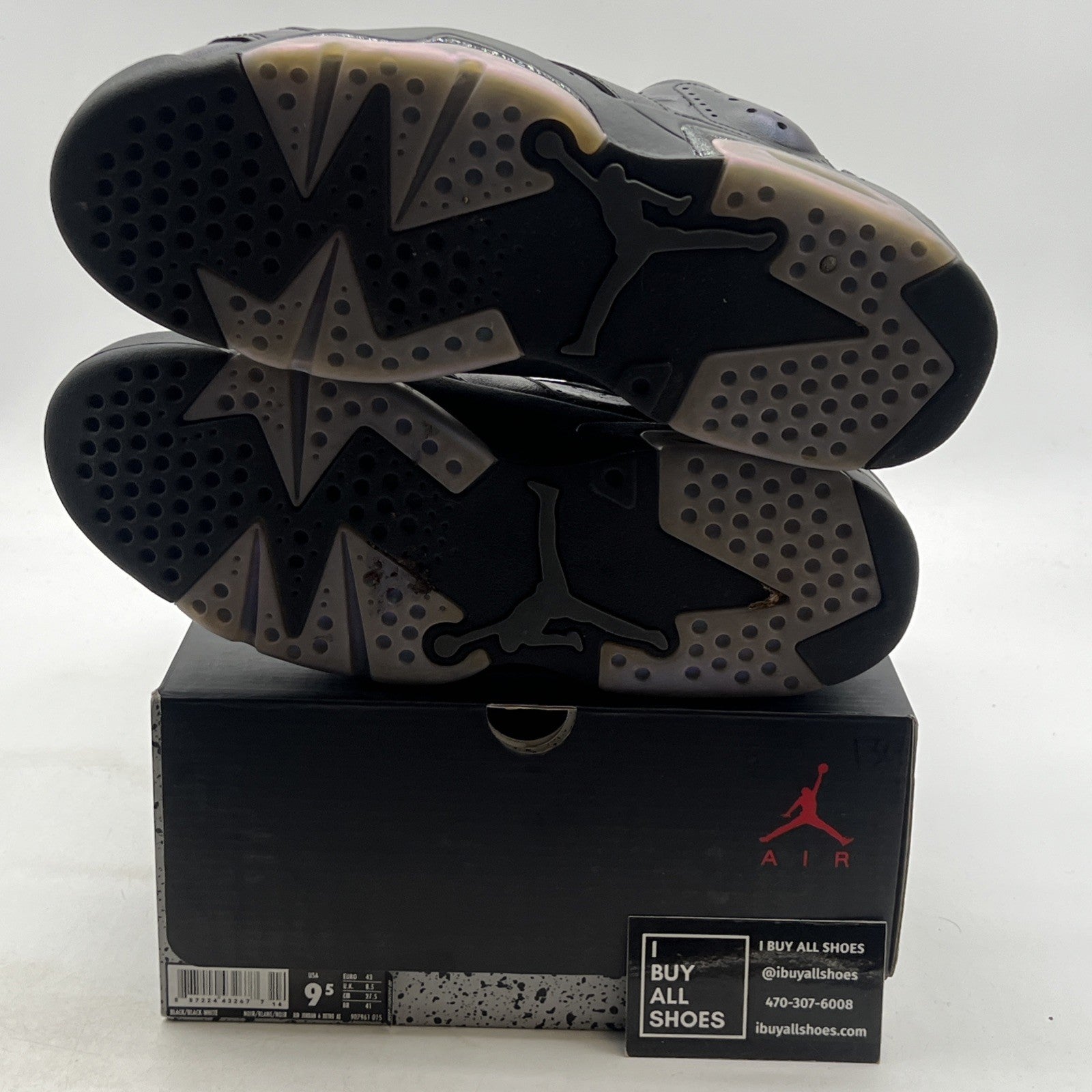 Size 9.5 - Air Jordan 6 Retro All Star - Chameleon (907961-015)