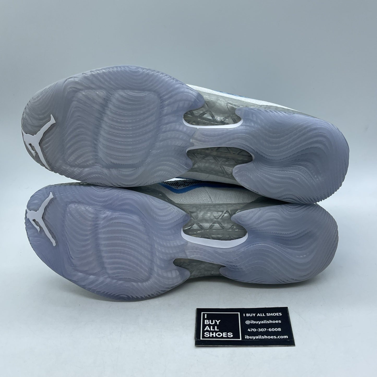 Size 13 - Air Jordan 29 Pantone (717796-108)