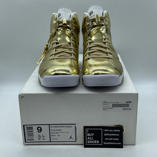 Size 9 - Air Jordan 6 Retro Pinnacle (854271-730)