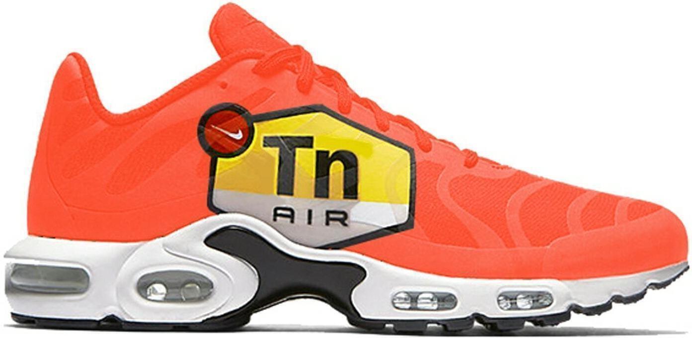 Size 11.5 - Nike Air Max Plus Big Logo (AJ7181-800)
