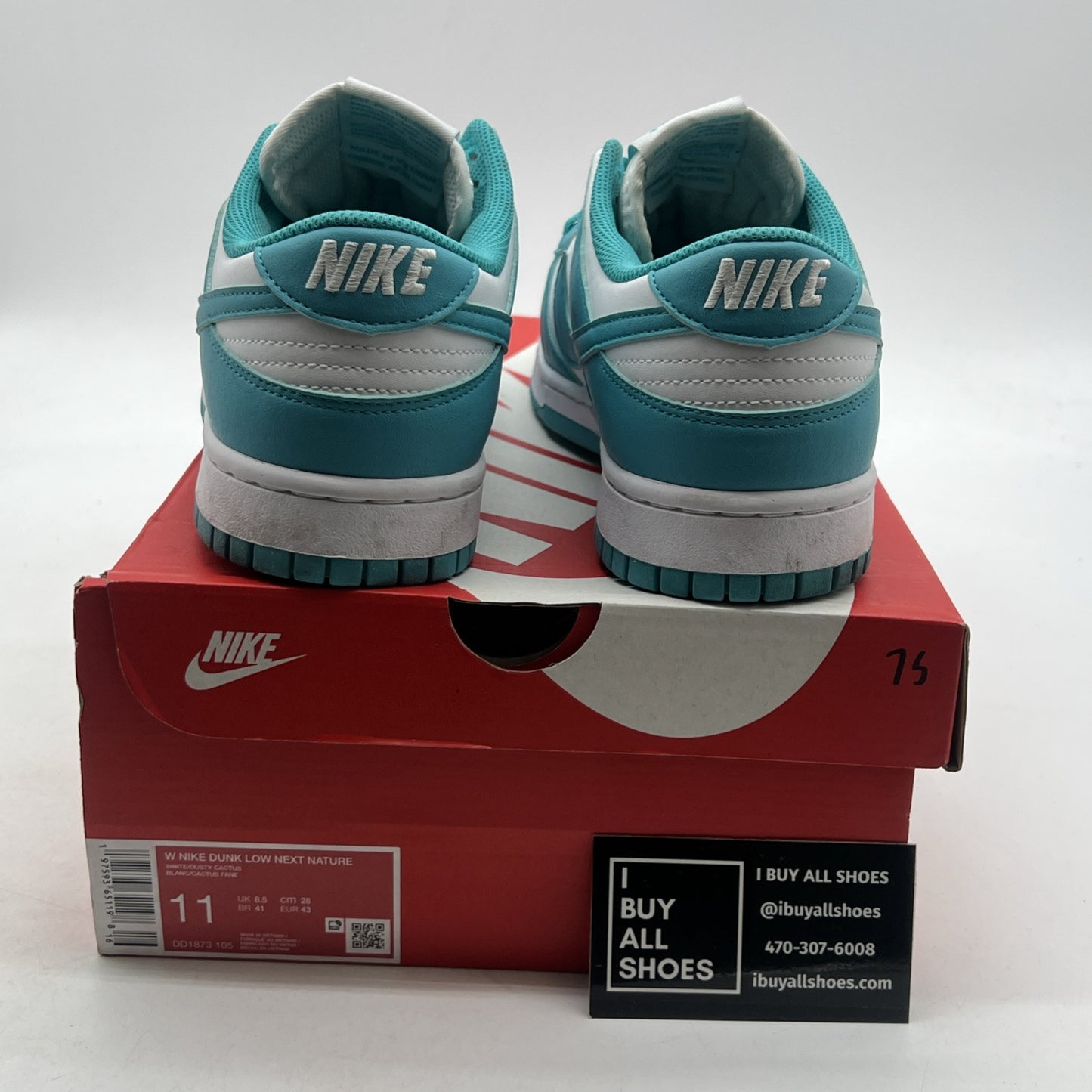 Size 11 - Nike Dunk Next Nature Low Dusty Cactus W (DD1873-106)