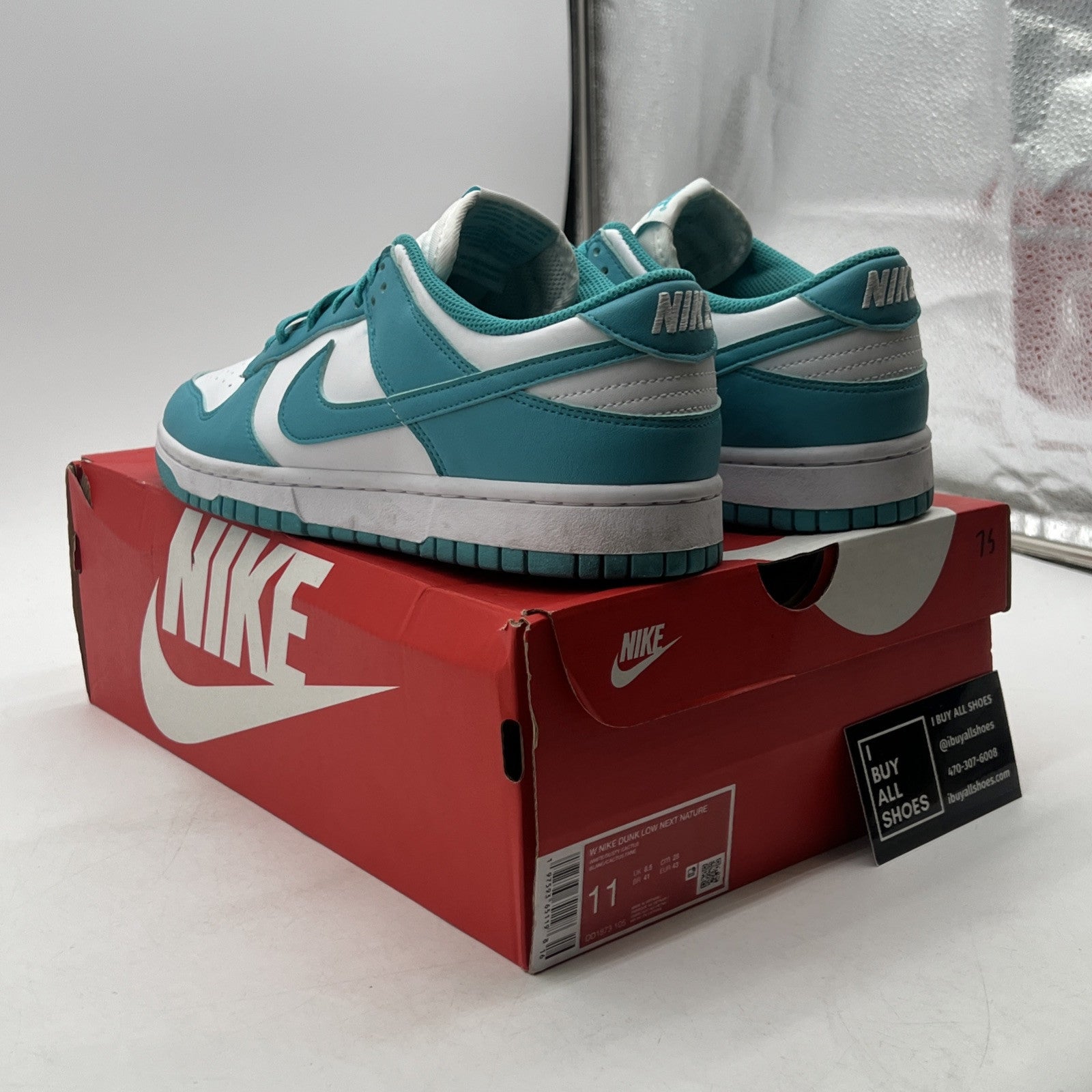 Size 11 - Nike Dunk Next Nature Low Dusty Cactus W (DD1873-106)