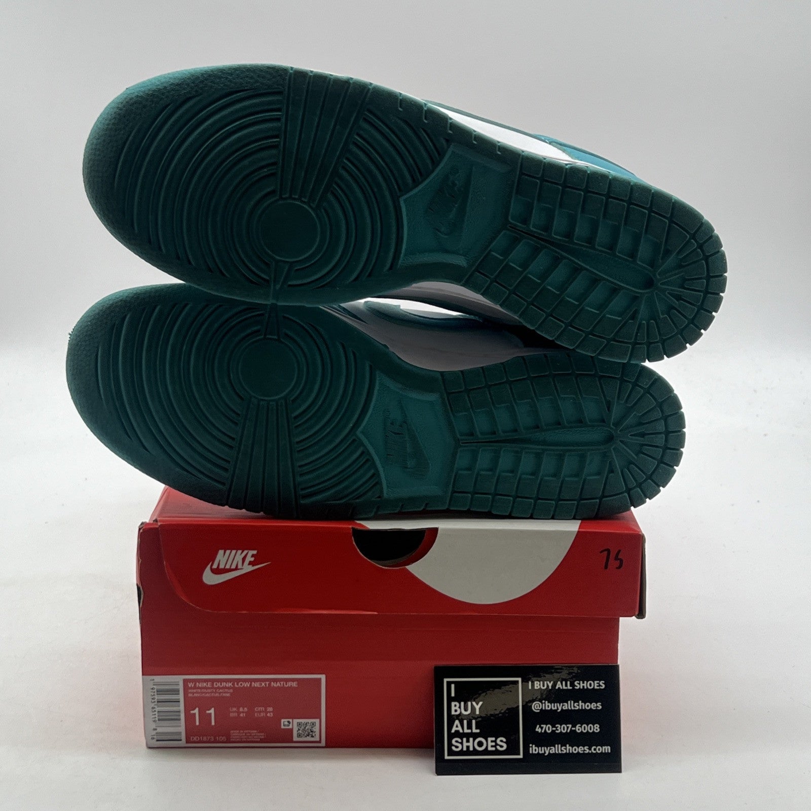 Size 11 - Nike Dunk Next Nature Low Dusty Cactus W (DD1873-106)