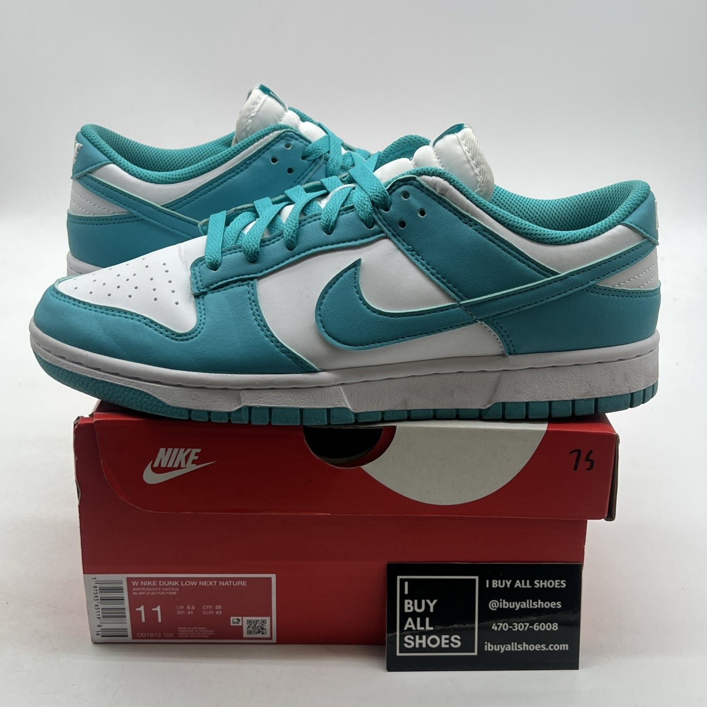 Size 11 - Nike Dunk Next Nature Low Dusty Cactus W (DD1873-106)