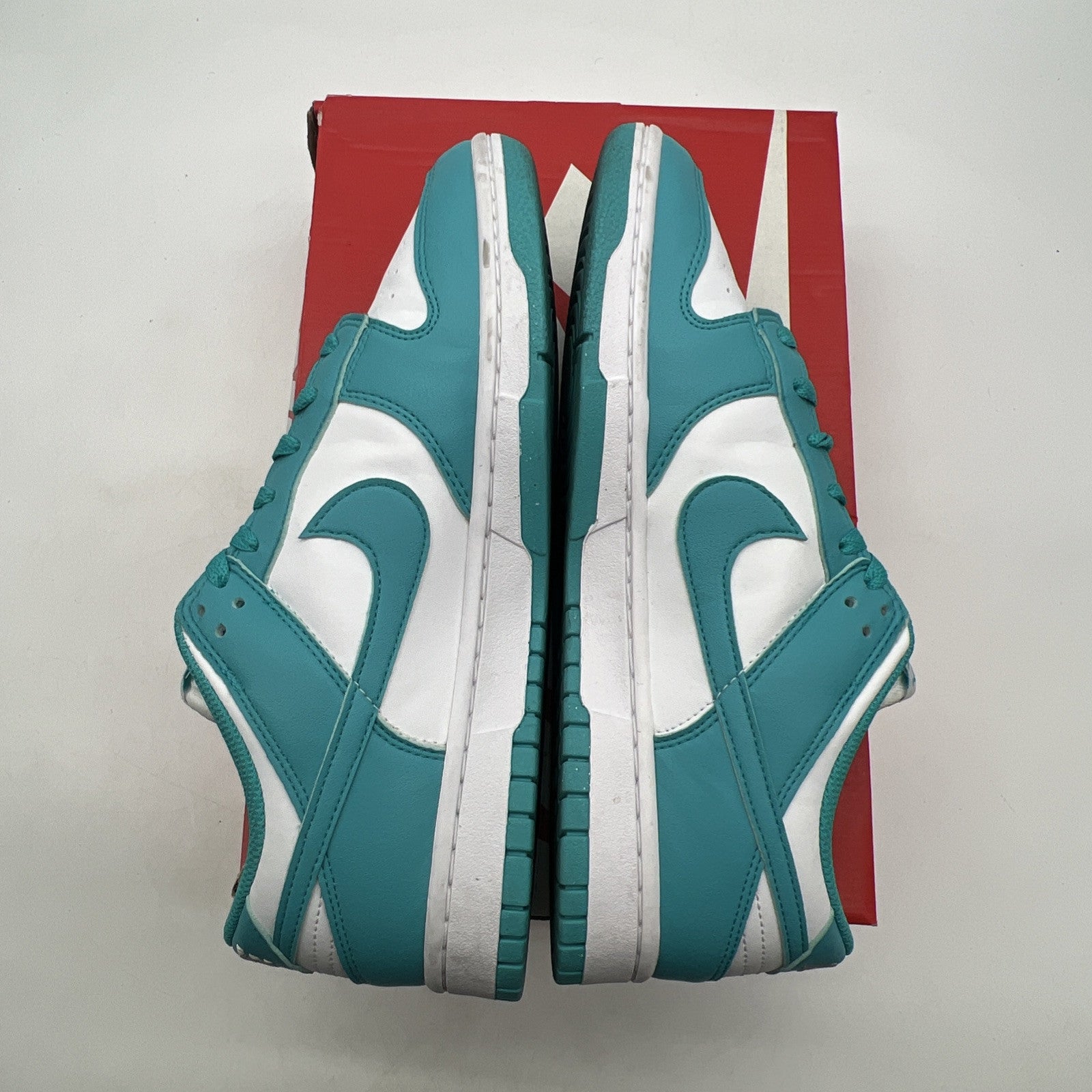 Size 11 - Nike Dunk Next Nature Low Dusty Cactus W (DD1873-106)