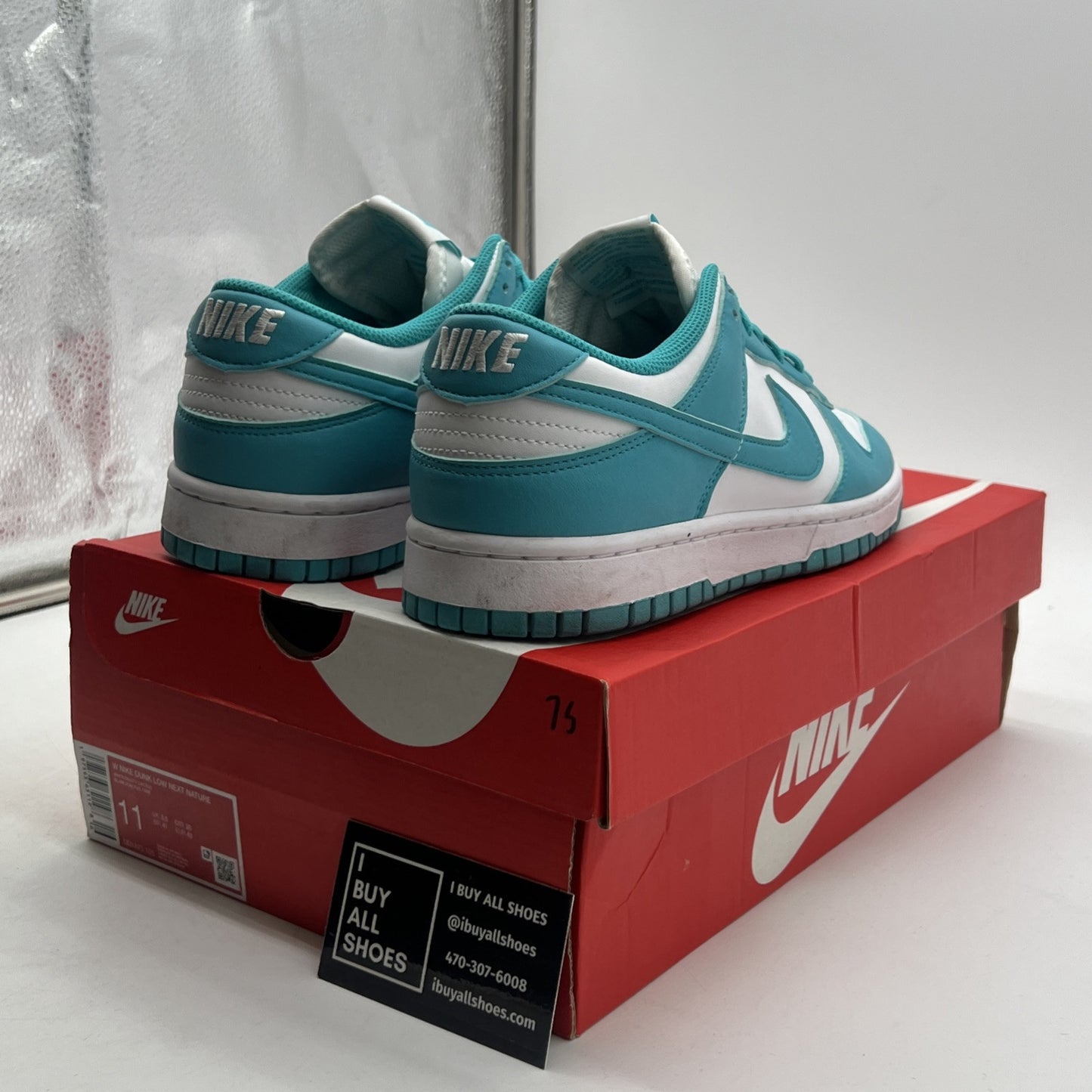 Size 11 - Nike Dunk Next Nature Low Dusty Cactus W (DD1873-106)