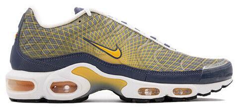 Size 12 - Nike Air Max Plus Wave Grid (BV1983-500)