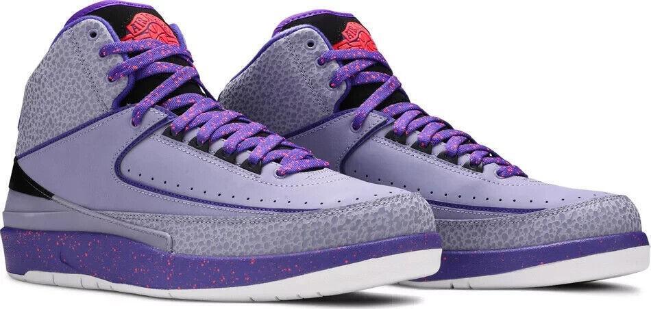Size 13 - Air Jordan 2 Retro Iron Purple (385475-553)